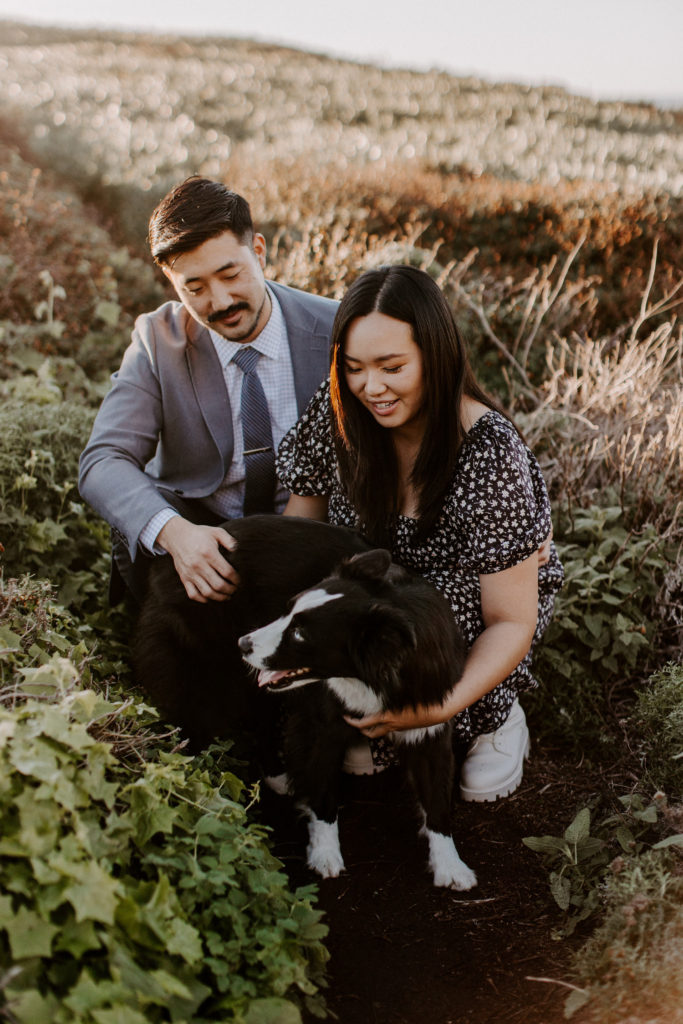 A couple is holding their dog on a trail in Big Sur during their all day elopement.